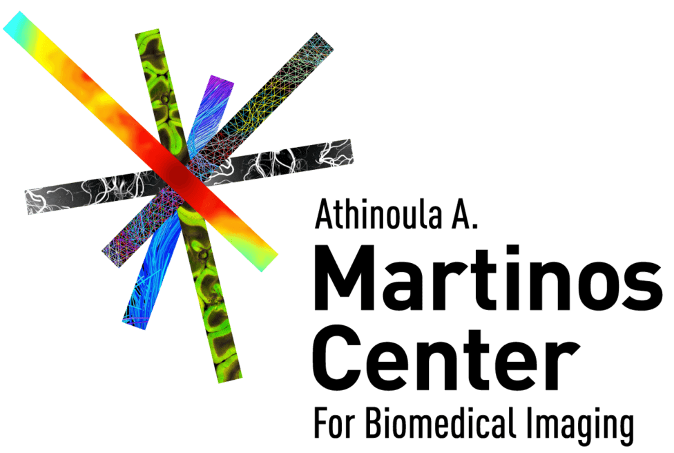 A. A. Martinos Center
